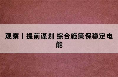 观察丨提前谋划 综合施策保稳定电能